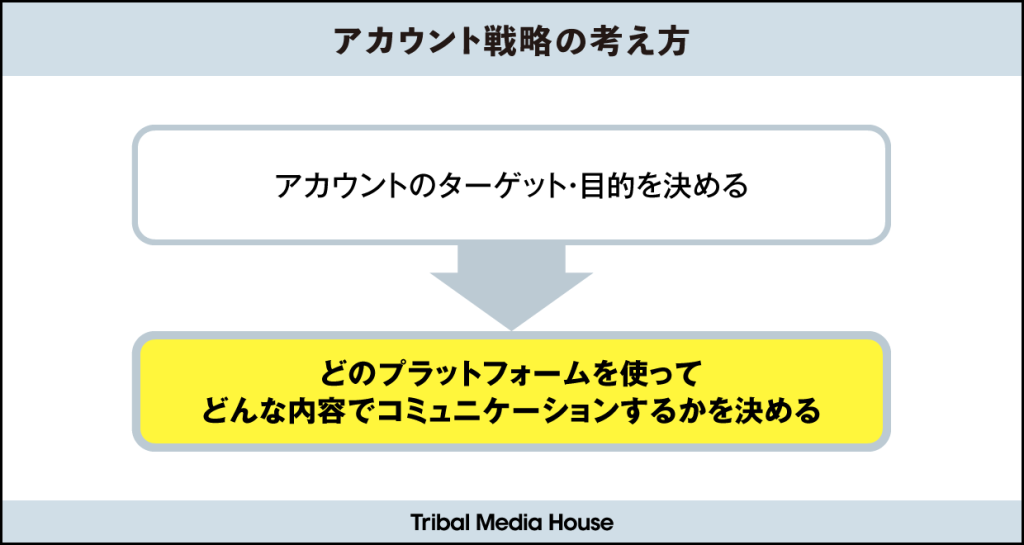 SNS運用戦略における内容